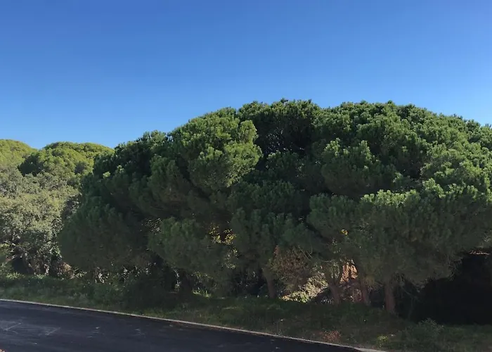 Διαμέρισμα Pinetops Holidays *