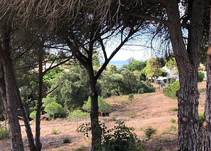 Pinetops Holidays Apartman *